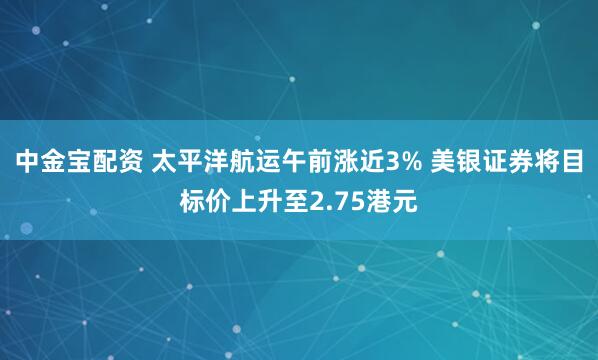 中金宝配资 太平洋航运午前涨近3% 美银证券将目标价上升至2.75港元