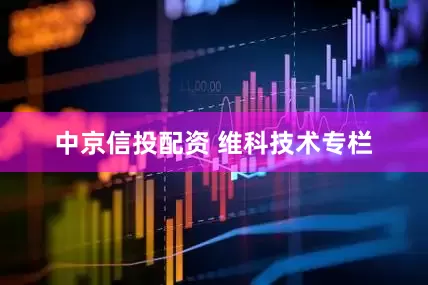 中京信投配资 维科技术专栏