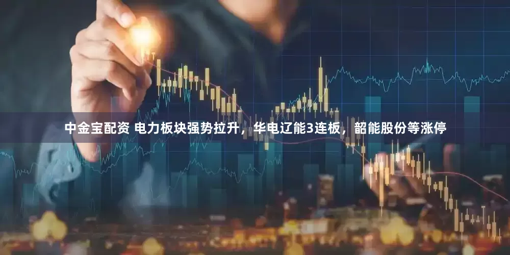 中金宝配资 电力板块强势拉升，华电辽能3连板，韶能股份等涨停